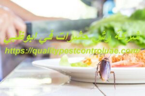 شركة رش حشرات في ابوظبي