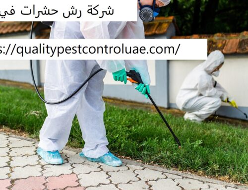 شركة رش حشرات في دبي |0545307678| رش مبيدات