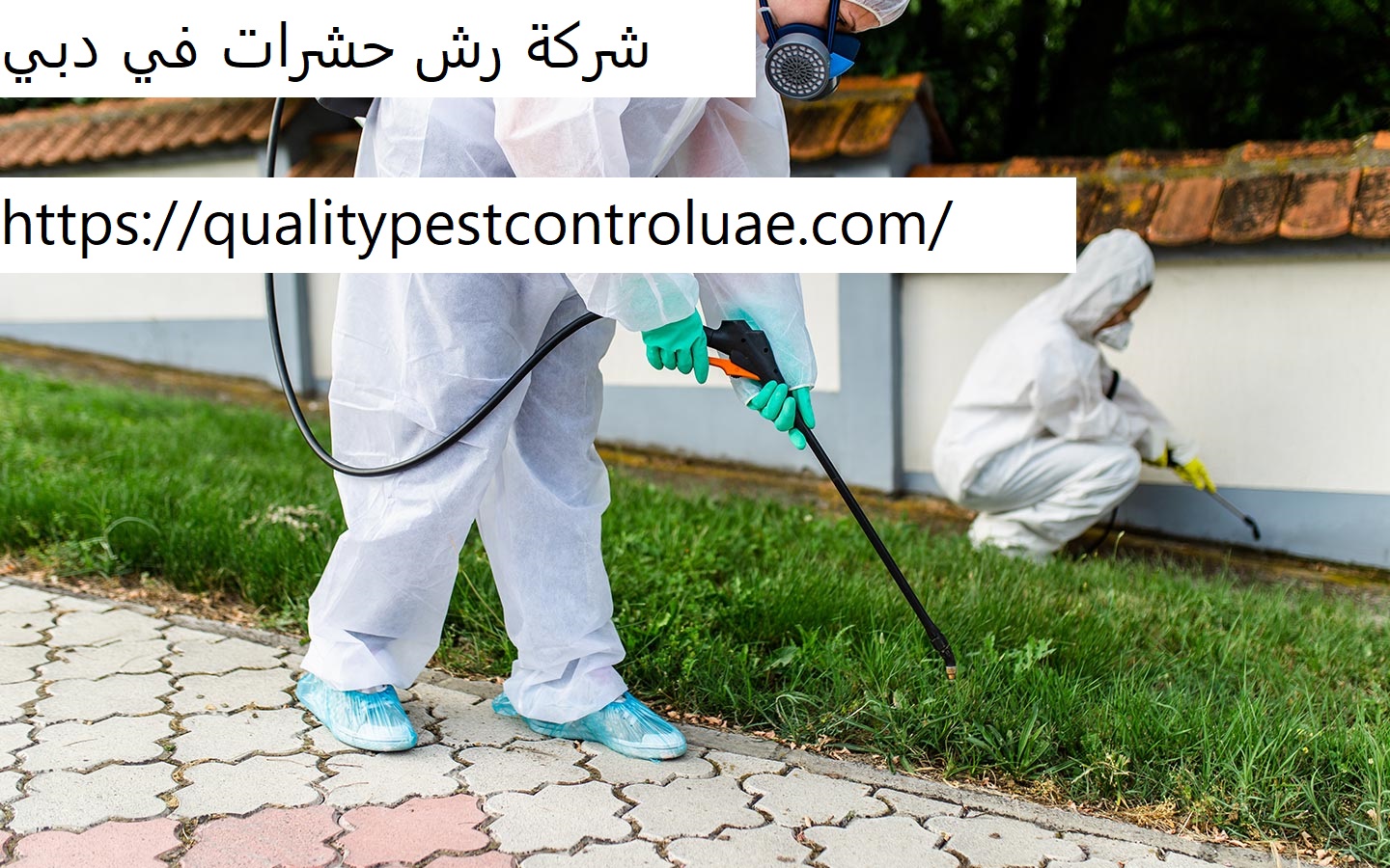 شركة رش حشرات في دبي
