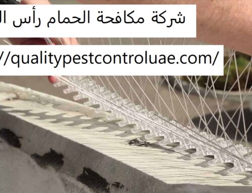 شركة مكافحة الحمام رأس الخيمة |0545307678| ابادة الحمام