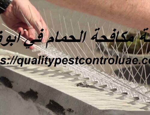 شركة مكافحة الحمام في ابوظبي |0545307678| طرد الطيور
