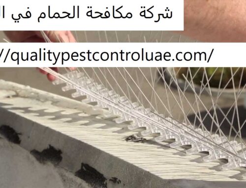 شركة مكافحة الحمام في الشارقة |0545307678| تركيب شبك