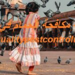 شركة مكافحة الحمام في العين