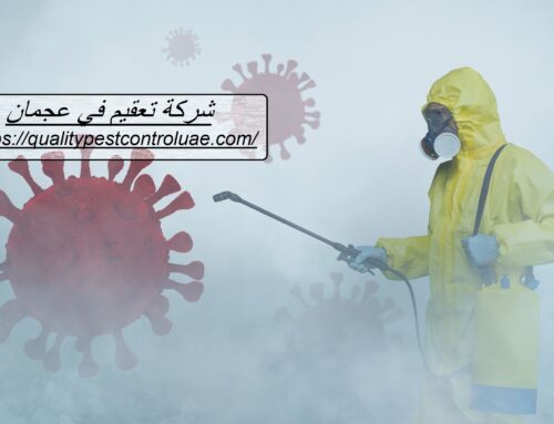 شركة تعقيم في عجمان |0545307678| تعقيم منازل