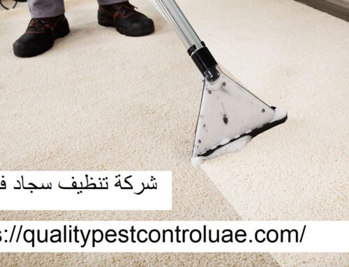 شركة تنظيف سجاد في دبي |0545307678| غسيل الموكيت
