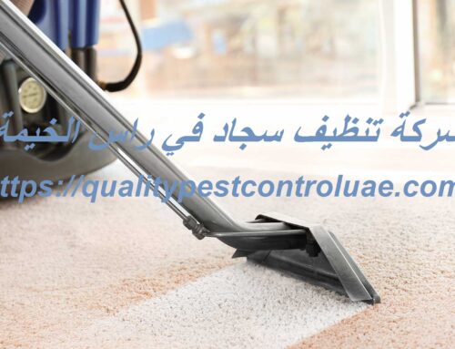 شركة تنظيف سجاد في راس الخيمة |0545307678| غسيل الموكيت