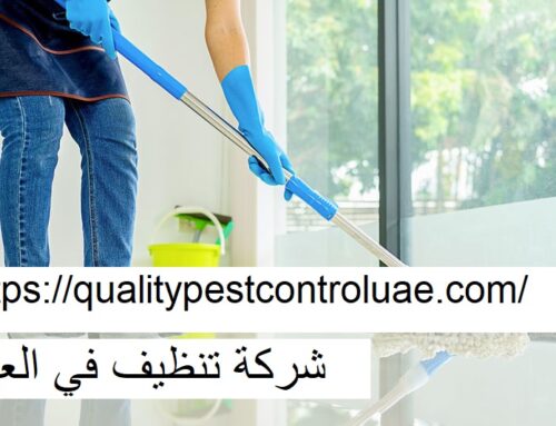 شركة تنظيف في العين |0545307678| تنظيف منازل
