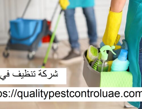 شركة تنظيف في دبي |0545307678| تنظيف المنازل