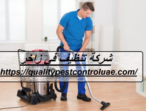 شركة تنظيف في زاخر العين |0545307678| تنظيف منازل
