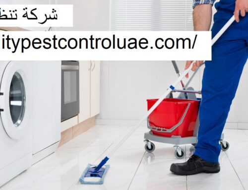 شركة تنظيف في عجمان |0545307678| تنظيف منازل