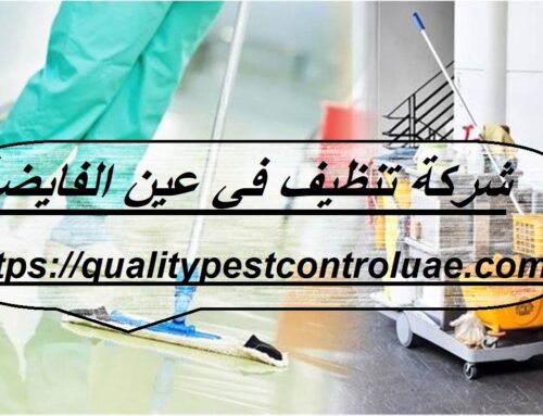 شركة تنظيف في عين الفايضة |0545307678| تنظيف فلل