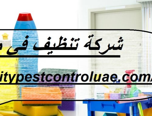 شركة تنظيف في مصفح ابوظبي |0545307678| تنظيف فلل
