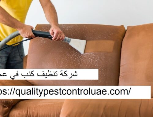 شركة تنظيف كنب في عجمان |0545307678| تنظيف الكنب