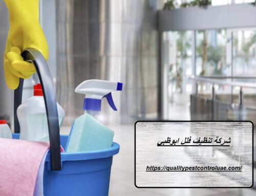 شركة تنظيف فلل ابوظبي |0545307678| تنظيف المنازل