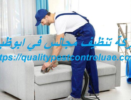 شركة تنظيف مجالس في ابوظبي |0545307678| غسيل المجالس