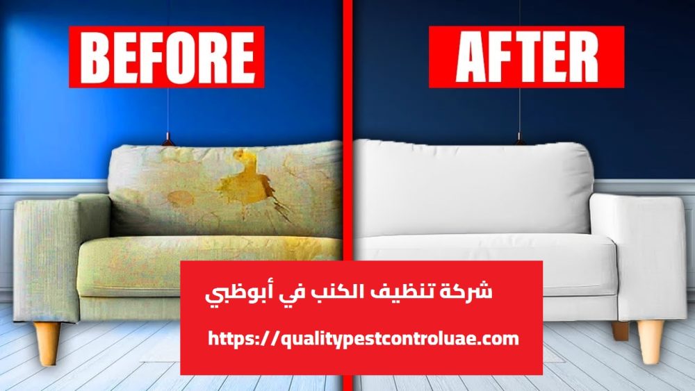 شركة تنظيف الكنب في أبوظبي