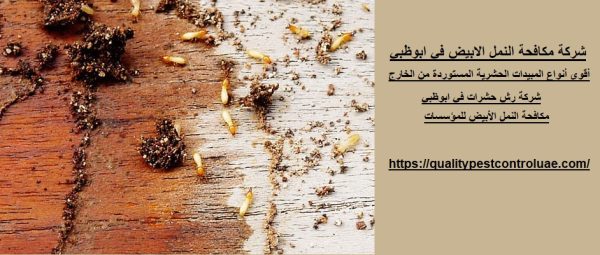 شركة مكافحة النمل الابيض في ابوظبي