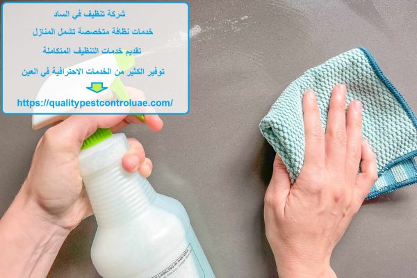 شركة تنظيف في الساد