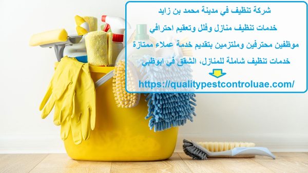شركة تنظيف في مدينة محمد بن زايد