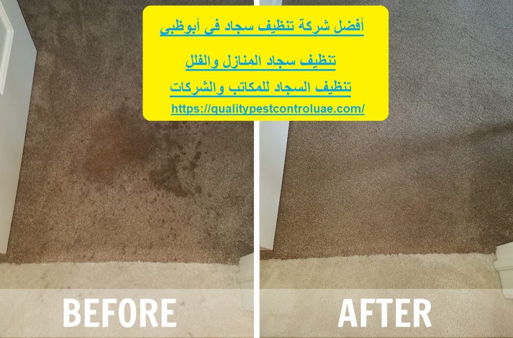 أفضل شركة تنظيف سجاد في أبوظبي